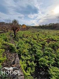 RAGALNA TERRENO AGRICOLO