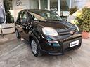 fiat-panda-1-0-hybrid-70-cv-s-s-firefly
