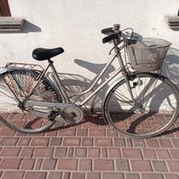 Bicicletta Piave