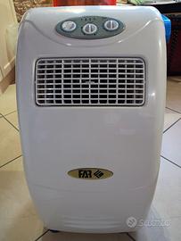 Climatizzatore portatile