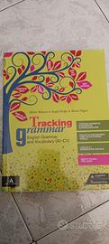 tracking grammar isbn 9788824774970