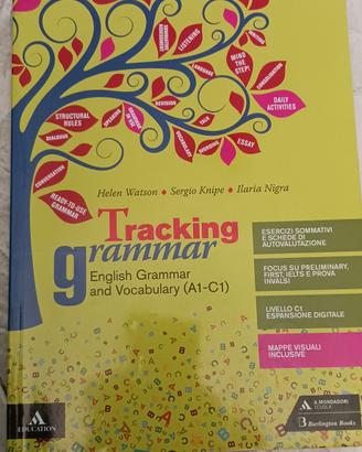 tracking grammar isbn 9788824774970