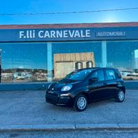 FIAT Panda 3ª serie Panda 1.0 FireFly S&S Hybrid
