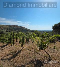 Terreno agricolo vigneto e uliveto a Calatabiano
