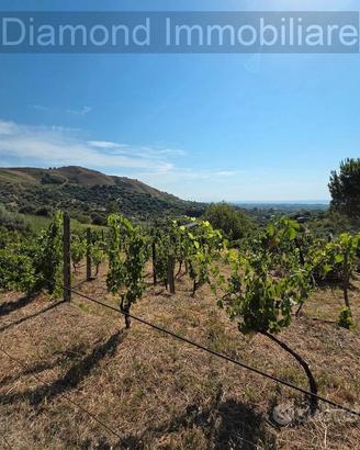 Terreno agricolo vigneto e uliveto a Calatabiano
