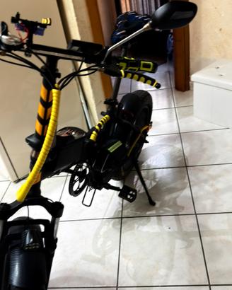 Bici elettrica 250W