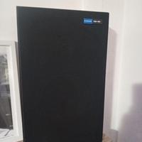 Coppia diffusori Pioneer 