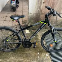 Bici mountain bike