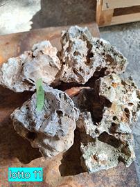 pietre travertino  pet giardino roccioso 