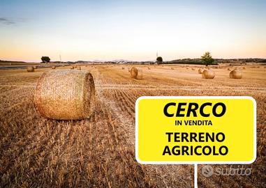 Piccolo terreno agricolo