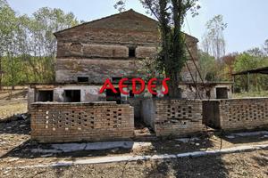 Rustico - Monterubbiano