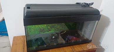 acquario 60 litri