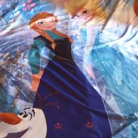 Copripiumino e copricuscino singolo Frozen