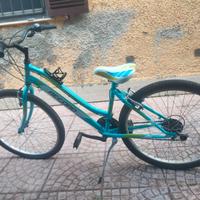 BICICLETTA MTB 24 LINCY 18 V RECORD