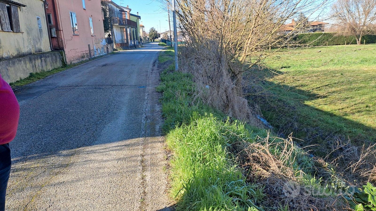 Terreno Agricolo Anguillara Veneta (PD) - Vista 4