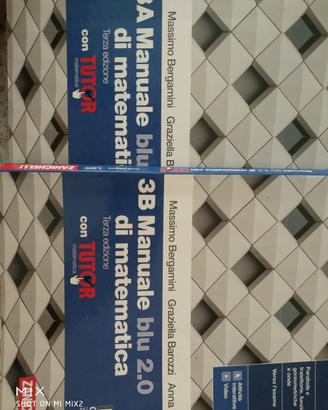 Manuale blu 2.0 3A 3B