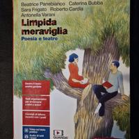 libro di italiano 