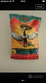 abbigliamento stagionale e giochino etc