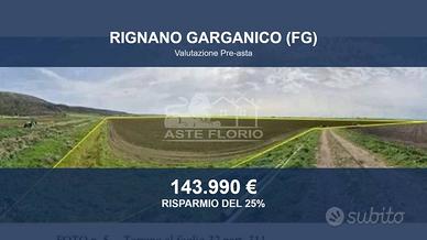 Immobile in asta di 106574 m² a Rignano Garganico