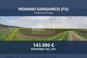 Immobile in asta di 106574 m² a Rignano Garganico