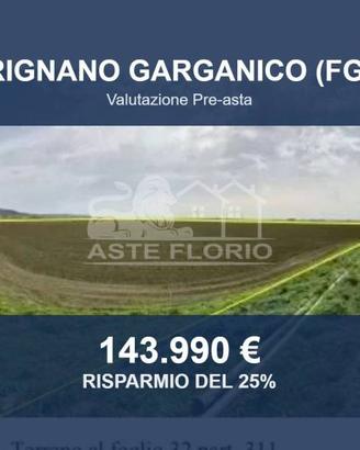 Immobile in asta di 106574 m² a Rignano Garganico