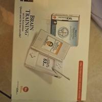 Nintendo DS + guitar hero