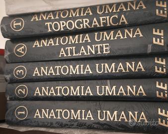 Anastasi anatomia umana nuova