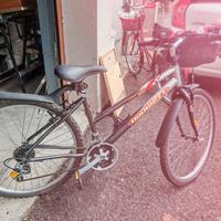 mountainbike quasi nuova