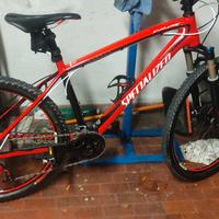 bicicletta 
