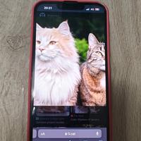 Iphone 13 128Gb Nero