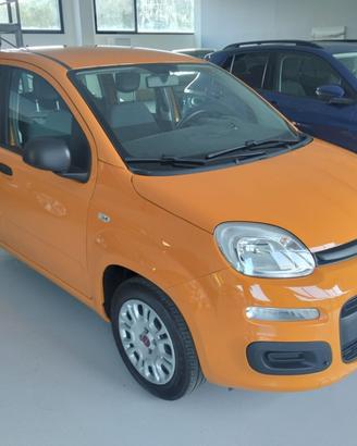 Fiat Panda 1.2 Easy s&s 69cv my19
