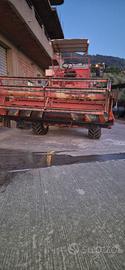MIETITREBBIA LAVERDA AL92