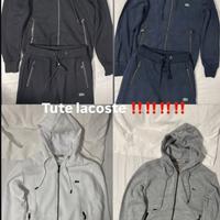 Tute lacoste