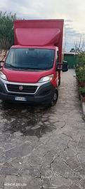 FIAT Ducato Box 2015 - Pronto lavoro