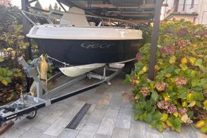 Barca, motore e carrello