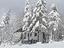 Immagine 12