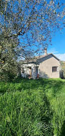 Casa indipendente con 3000 mq di terreno - Paliano