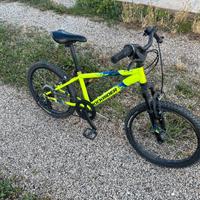 Mountain bike bambino