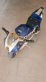 Minimoto Elettrica 