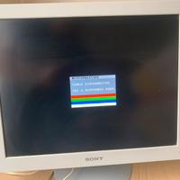 Monitor Sony SDM S51 15 pollici Alimentatore VGA
