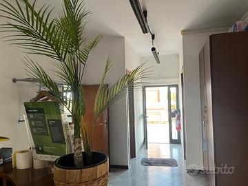 Spazioso ufficio con ampi spazi esterni