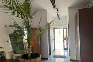 Spazioso ufficio con ampi spazi esterni