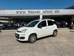 Fiat Panda 1.3 MJT S&S Pop Van 2 posti 2015/ KM 21