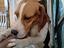 Immagine 3