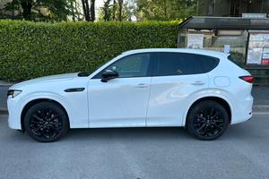 2.5 phev Homura tetto awd Full Opt Rhodium white