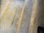 Immagine 19