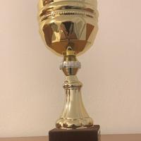 Coppa premio altezza 24 cm