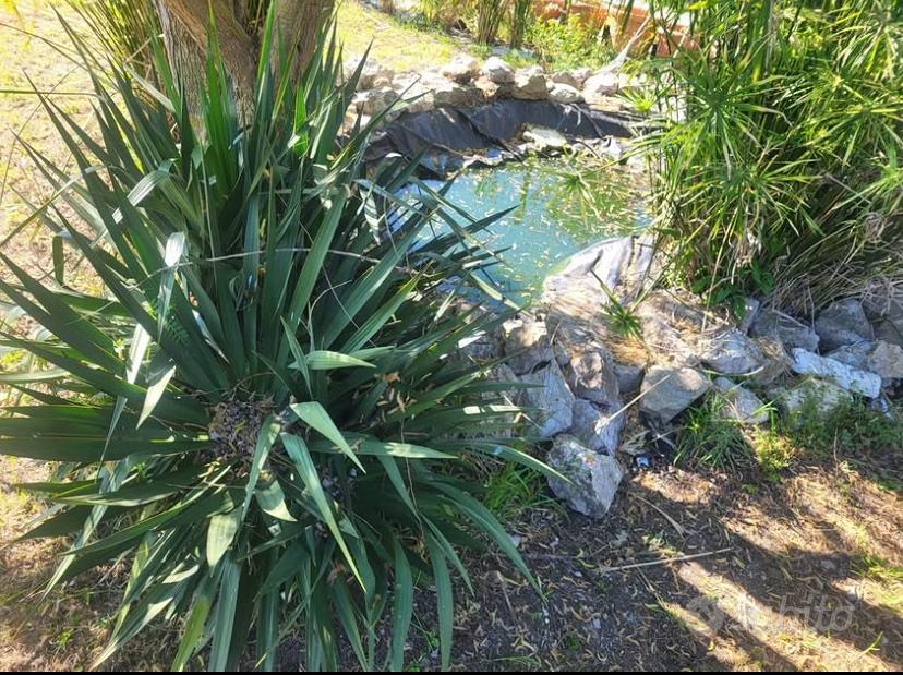 Terreno a Viareggio , Enrico Paladini - Vista 2