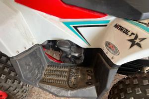 MINI QUAD 110 USATO POCHISSIMO