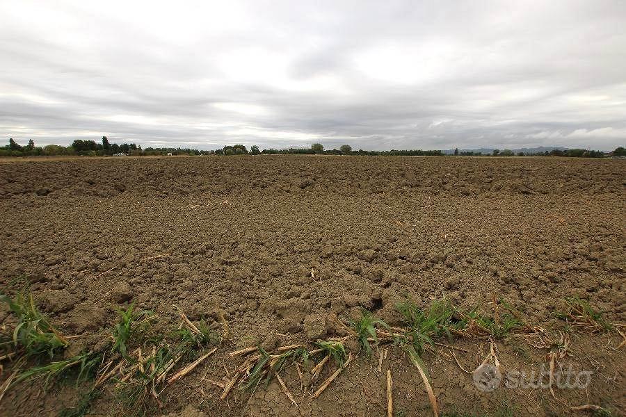 Rif.2942/T| terreno agricolo bologna - Vista 6
